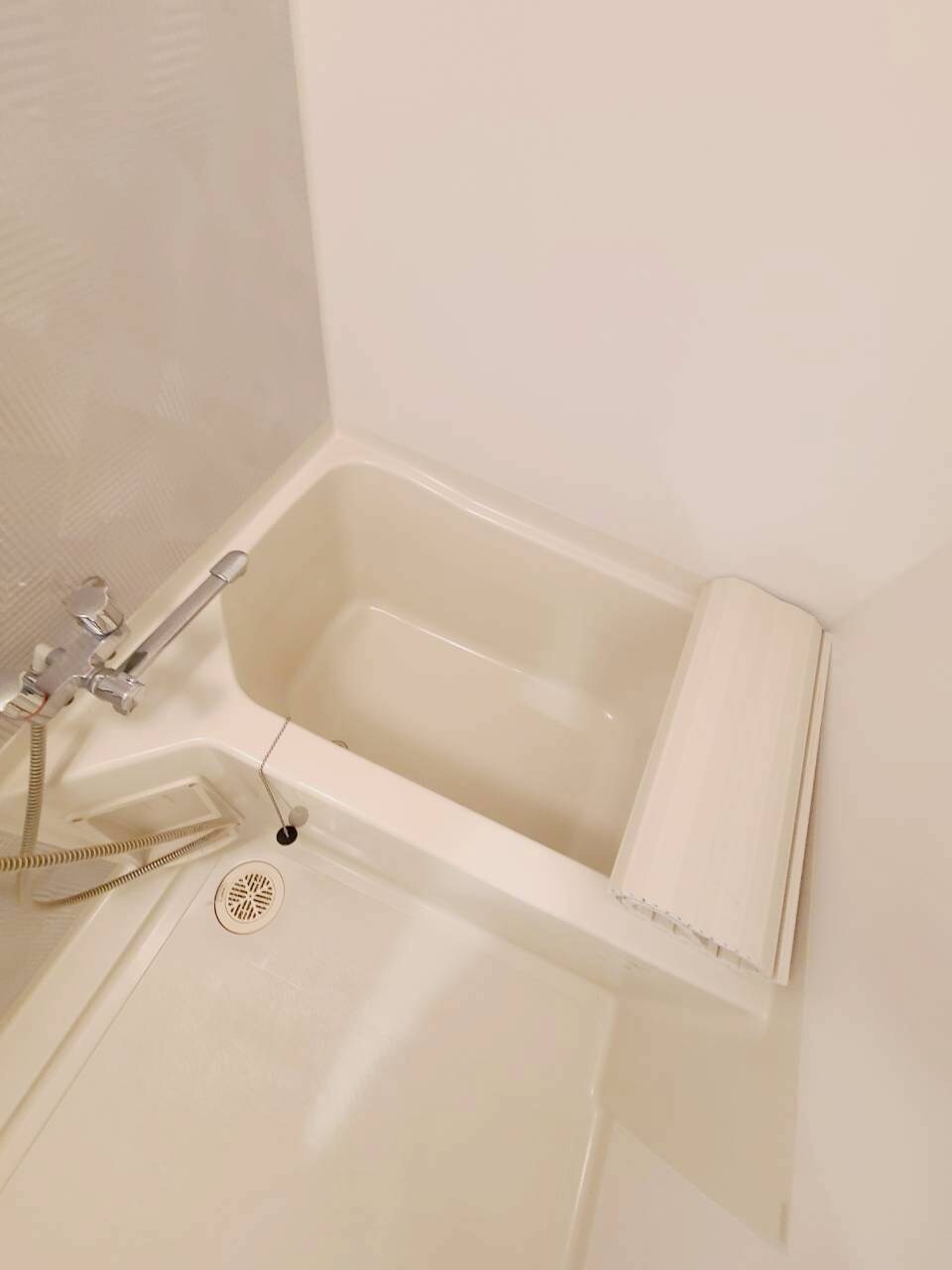 甲子園駅 徒歩5分 1階の物件内観写真