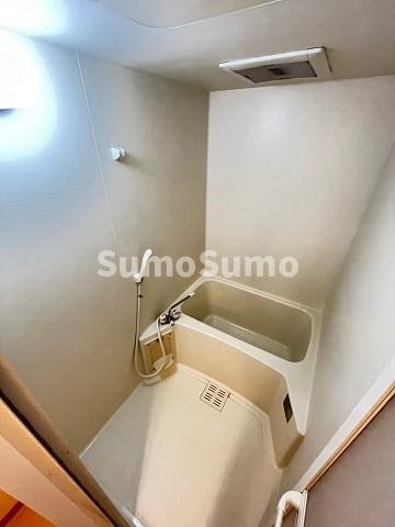 鳴尾・武庫川女子大前駅 徒歩5分 3階の物件内観写真