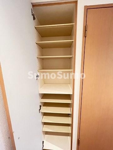 鳴尾・武庫川女子大前駅 徒歩5分 3階の物件内観写真