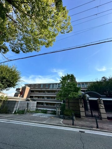 甲陽園駅 徒歩7分 2階の物件内観写真