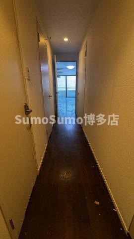 天神駅 徒歩6分 5階の物件内観写真