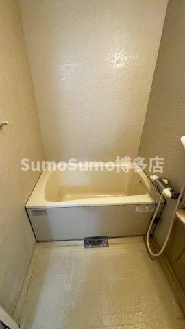 天神駅 徒歩6分 5階の物件内観写真