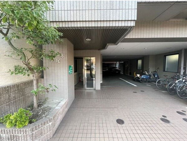 西鉄平尾駅 徒歩7分 7階の物件外観写真