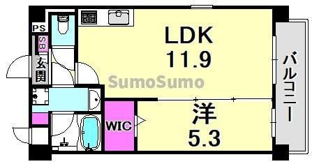 マ メゾン金楽寺の物件間取画像