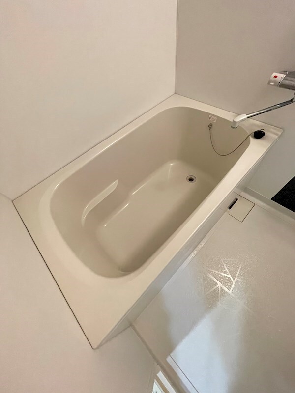 大濠公園駅 徒歩10分 20階の物件内観写真