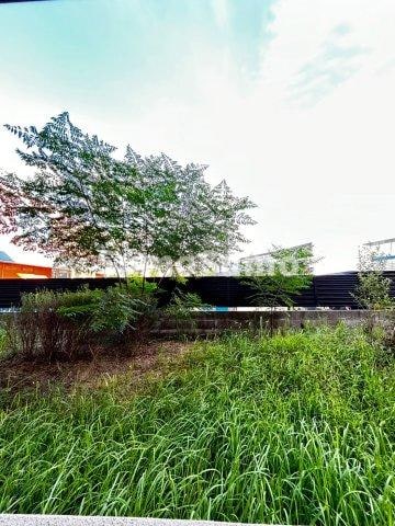 園田駅 徒歩16分 1階の物件内観写真