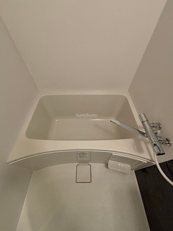 セレニテ難波グランデシュッドの物件内観写真