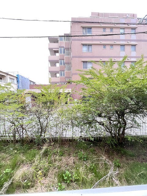 立花駅 徒歩14分 4階の物件内観写真