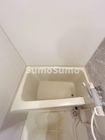 難波駅 徒歩5分 4階の物件内観写真