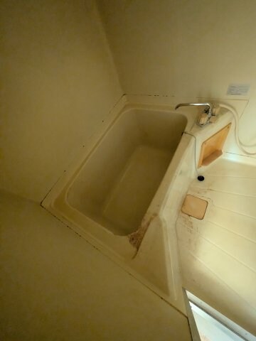 南福岡駅 徒歩9分 4階の物件内観写真