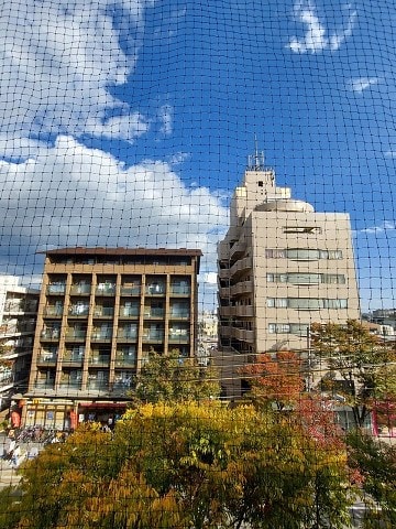 武庫之荘駅 徒歩1分 5階の物件内観写真