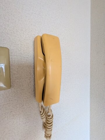 高宮駅 徒歩5分 5階の物件内観写真