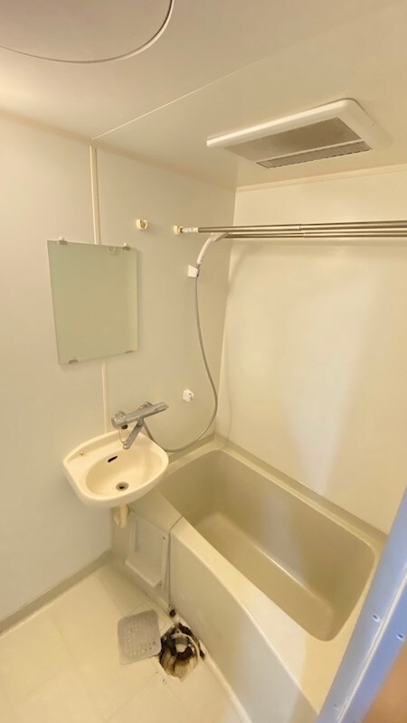 テル代官山の物件内観写真