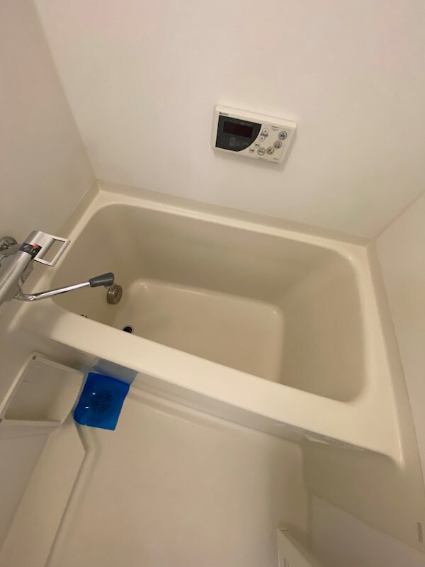 グリーンフォレストの物件内観写真