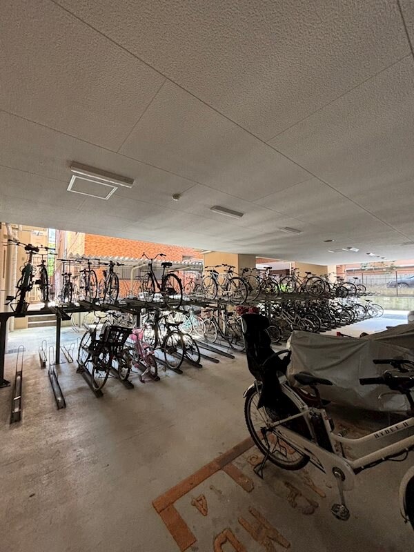 肥後橋駅 徒歩7分 8階の物件内観写真