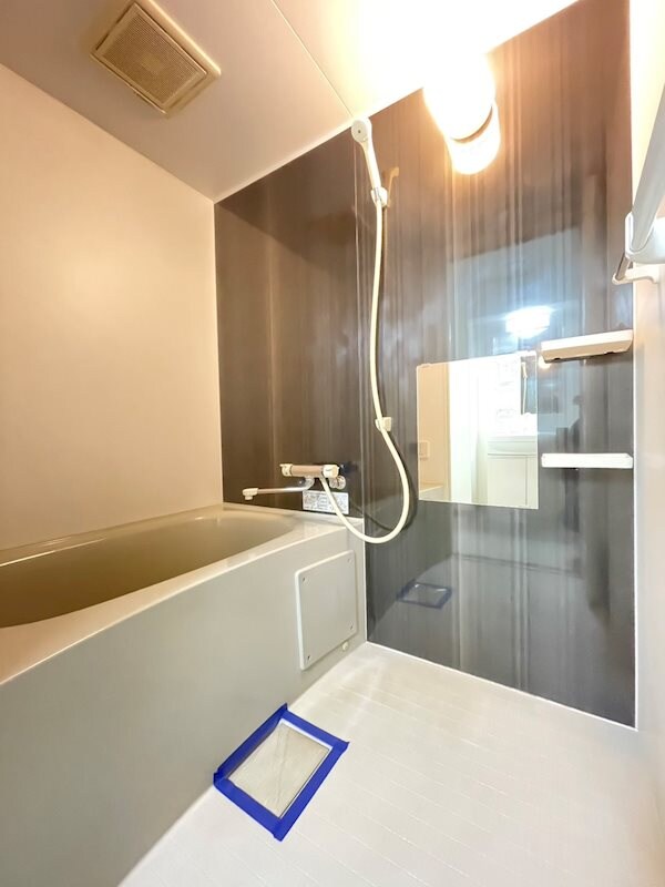 箱崎宮前駅 徒歩5分 8階の物件内観写真