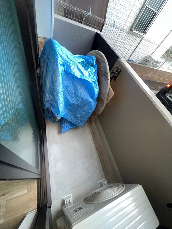 武庫之荘駅 徒歩10分 1階の物件内観写真