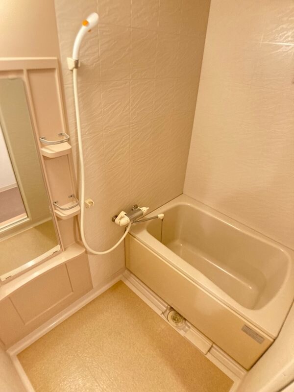 本町駅 徒歩5分 2階の物件内観写真