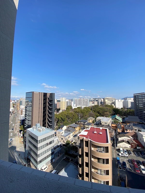 渡辺通駅 徒歩10分 15階の物件内観写真