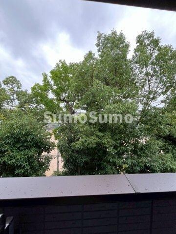 La Maison 塚口の物件内観写真