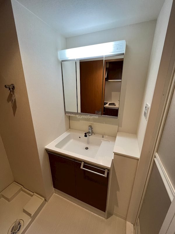 西長堀駅 徒歩3分 11階の物件内観写真