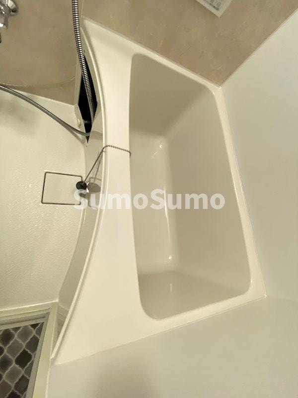 祇園駅 徒歩13分 10階の物件内観写真