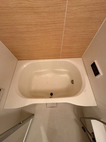 本町駅 徒歩5分 10階の物件内観写真