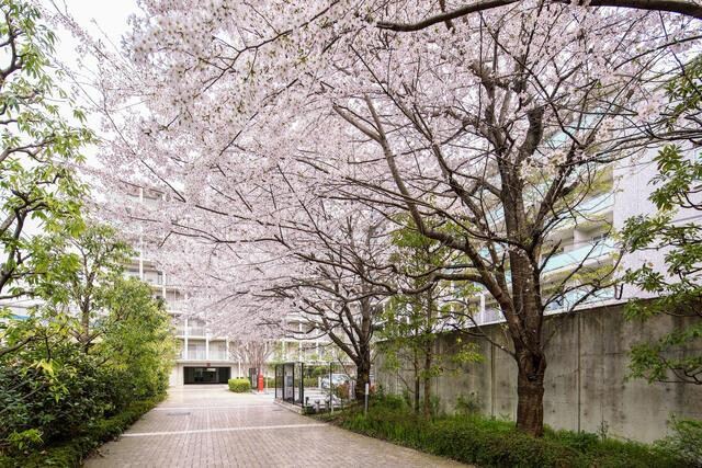 アビティ目黒の物件内観写真