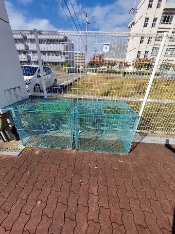 武庫之荘駅 徒歩12分 2階の物件外観写真