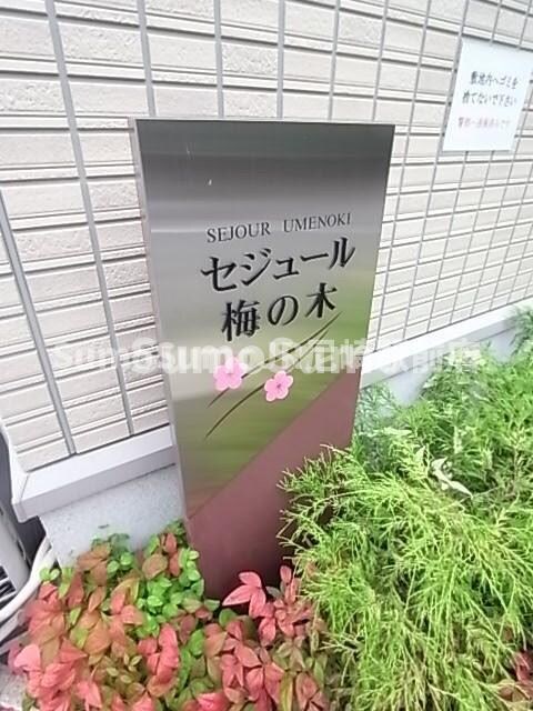 セジュール梅の木の物件外観写真