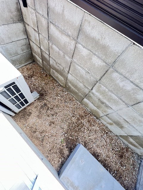 武庫之荘駅 徒歩12分 2階の物件内観写真