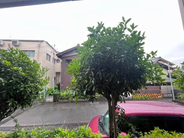 サンスタレの物件内観写真