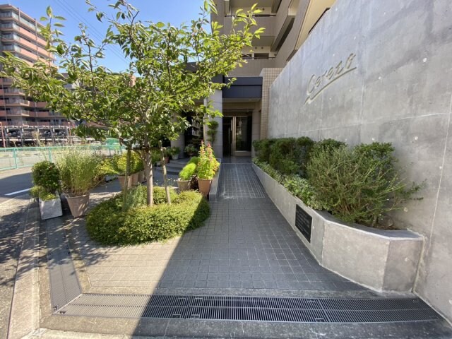 セレッソの物件外観写真