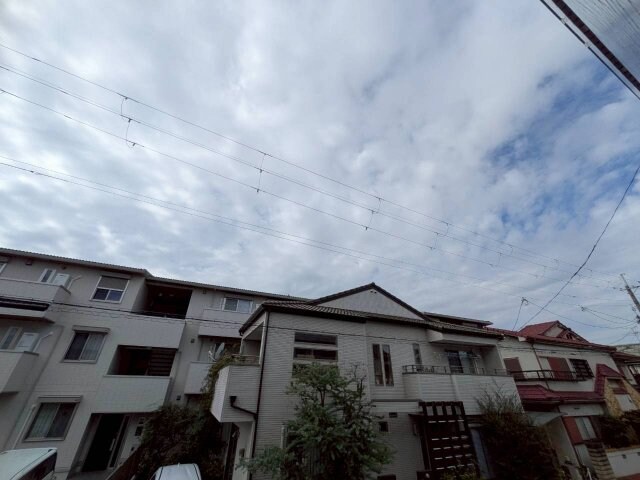 ヤングパレス茨木の物件内観写真