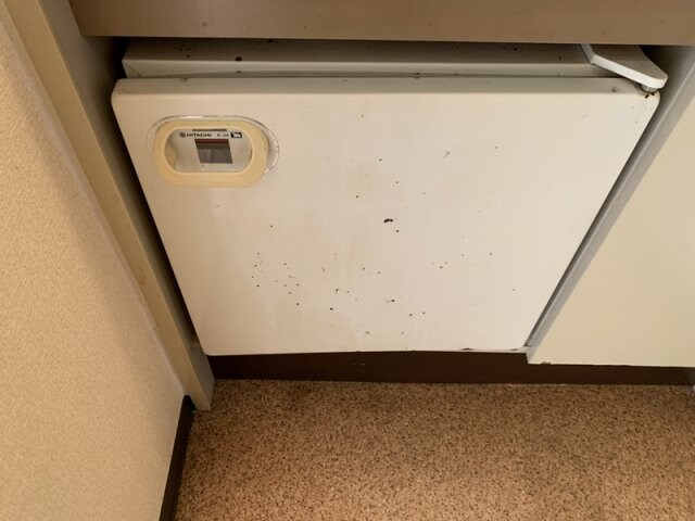 コンフォート・グリーンの物件内観写真