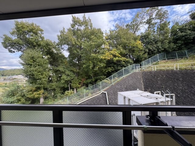 ＮＡＳＡ望月の物件内観写真