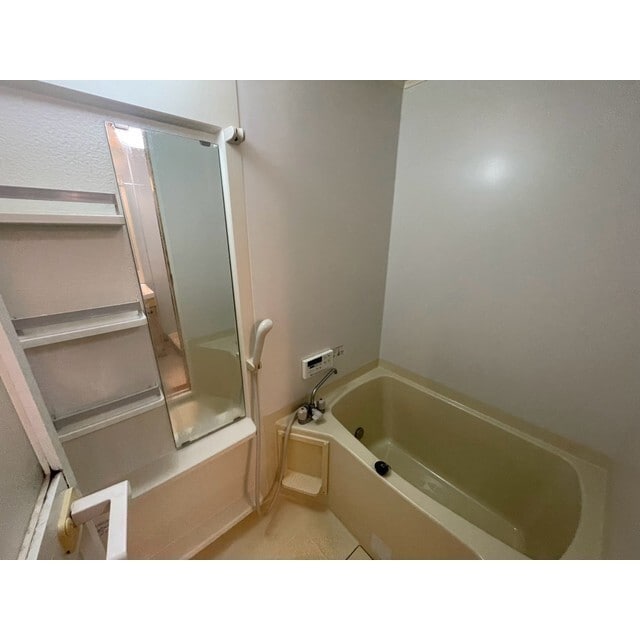 スカイピュアの物件内観写真