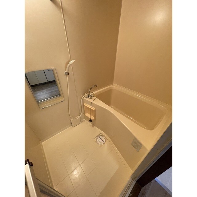 ヴィレッジライトグリーンの物件内観写真