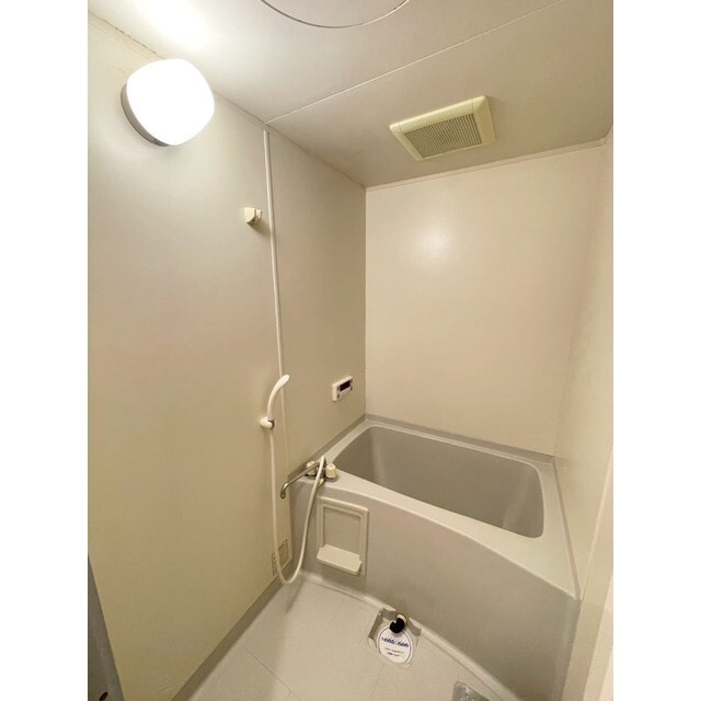 フォレストマンションの物件内観写真