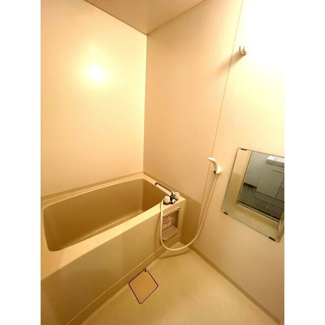 上州富岡駅 徒歩22分 1階の物件内観写真