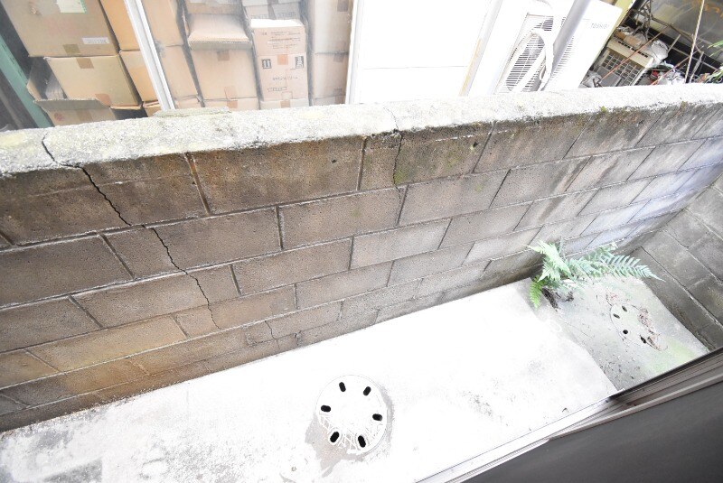 シャーメゾン純心電停前の物件内観写真