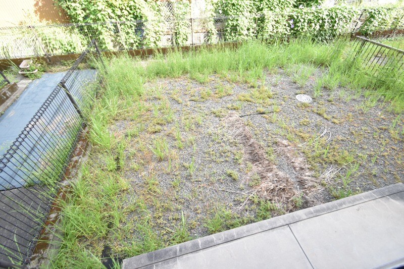 セジュールＭＡＹ　Ｂ棟の物件内観写真