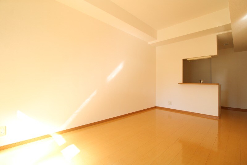 グランドスカイ上之園の物件内観写真