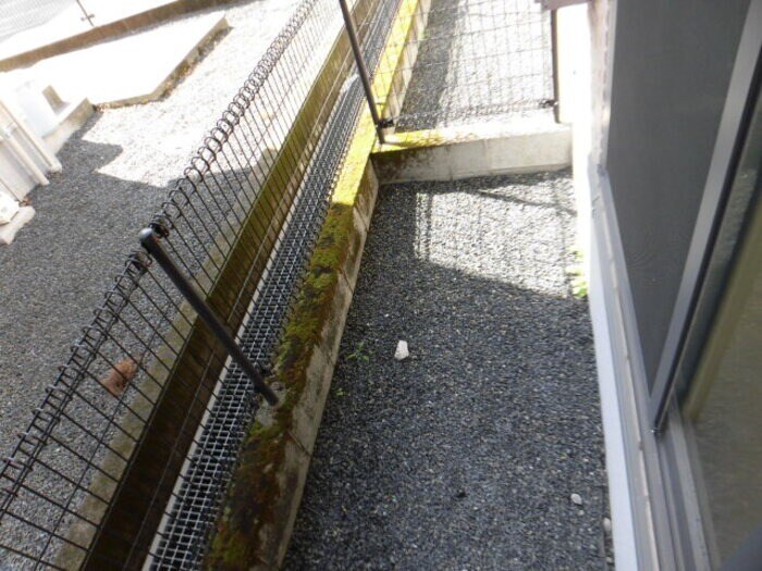 モナリエプライズ　Ａ棟の物件内観写真