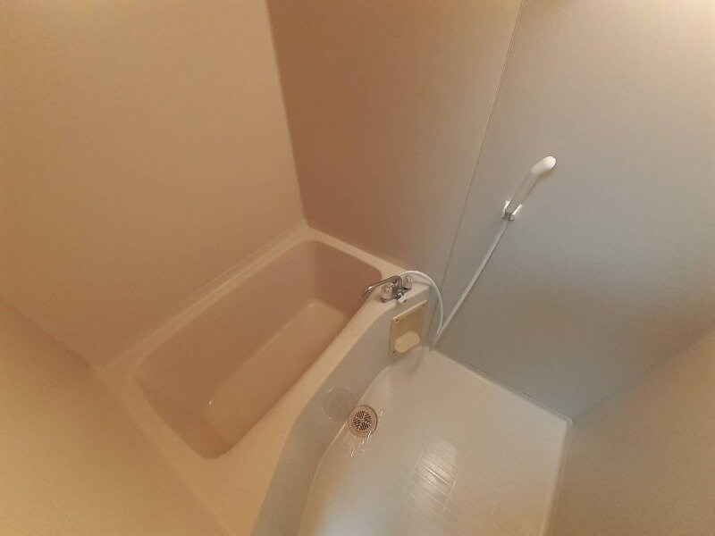 長太ノ浦駅 徒歩8分 3階の物件内観写真