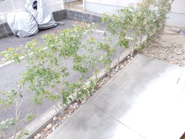 カーサ江島C棟の物件内観写真