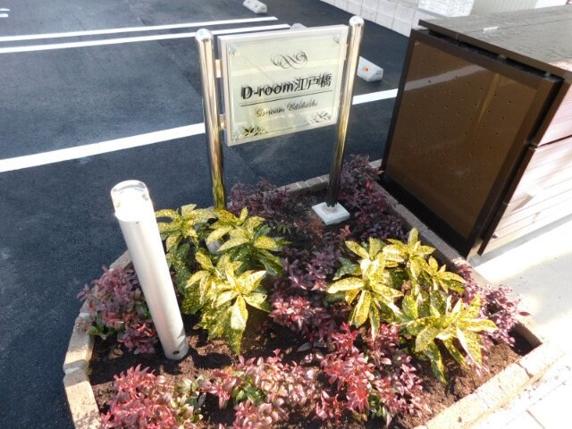 Ｄ－ｒｏｏｍ江戸橋の物件外観写真