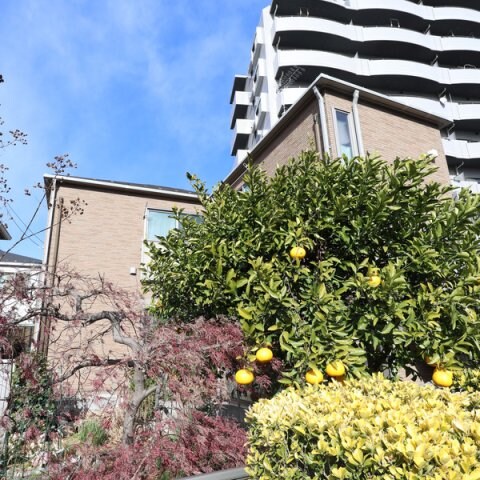 ラフィネ谷塚の物件内観写真