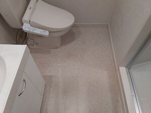 マーレ船堀の物件内観写真