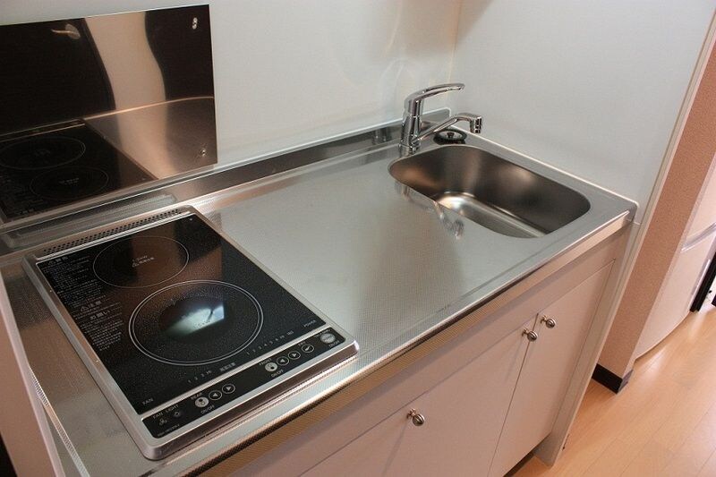 レオネクストラブバードの物件内観写真